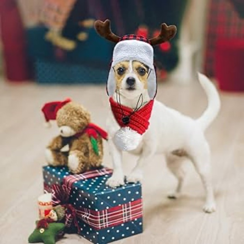 Pet hat &scare set: happy holidays